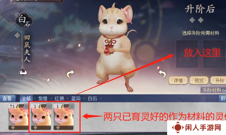 《倩女幽魂》灵伴升阶方法