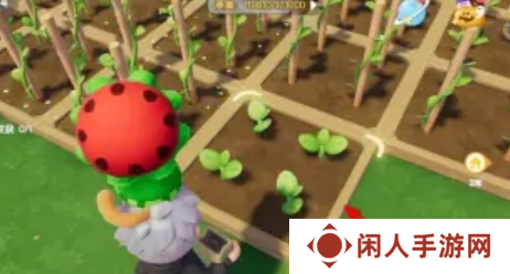 《心动小镇》奇灵夜季南瓜雕刻任务攻略