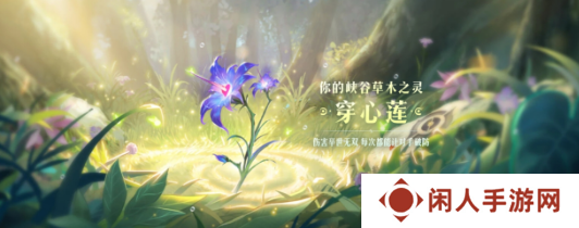 《王者荣耀》9周年庆数据回顾解锁植物介绍