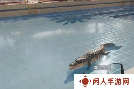 《三角洲行动》鳄鱼用途介绍