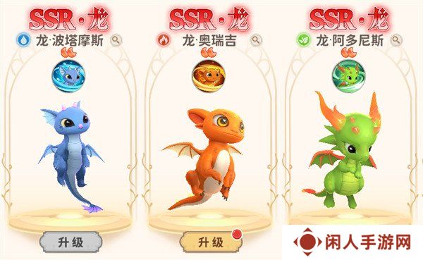 龙骑士学园宠物怎么培养 宠物培养攻略