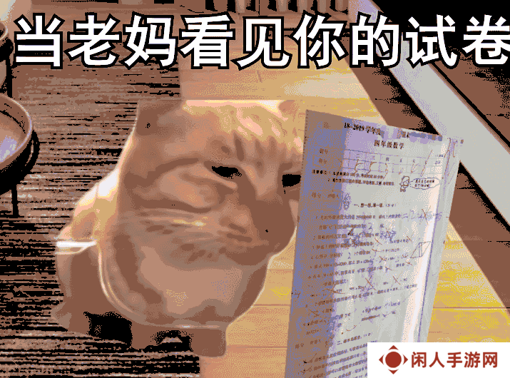 占据互联网大半的猫梗，永远是人们生活的调味剂
